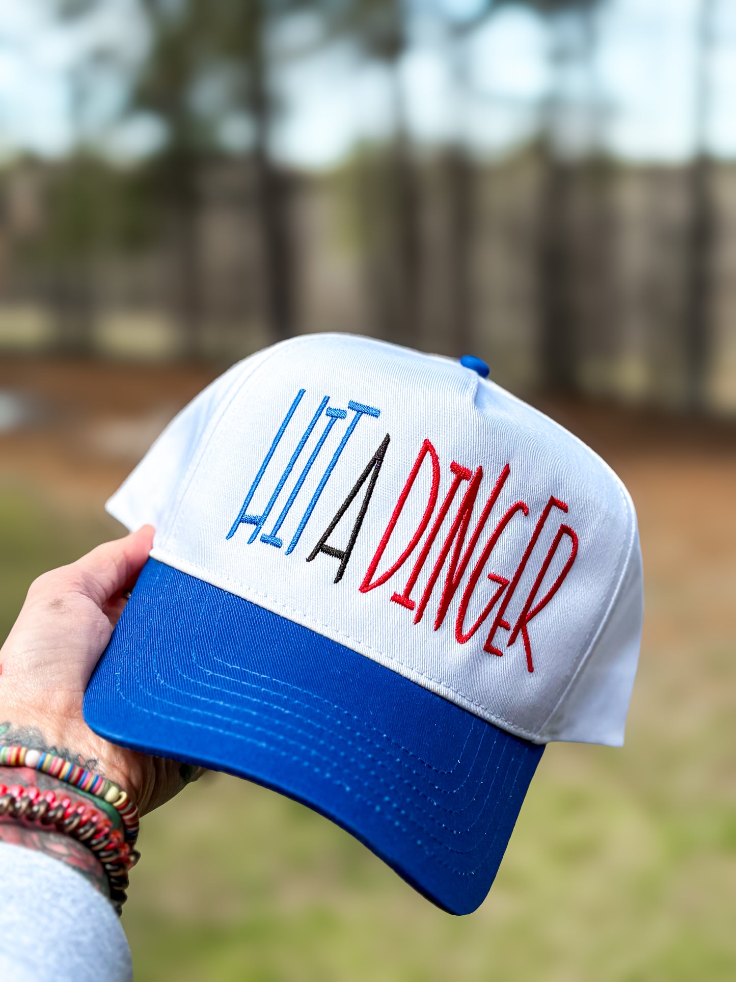 Hit A Dinger Embroidered Hat